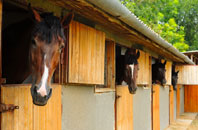 free Great Addington stable construction quotes